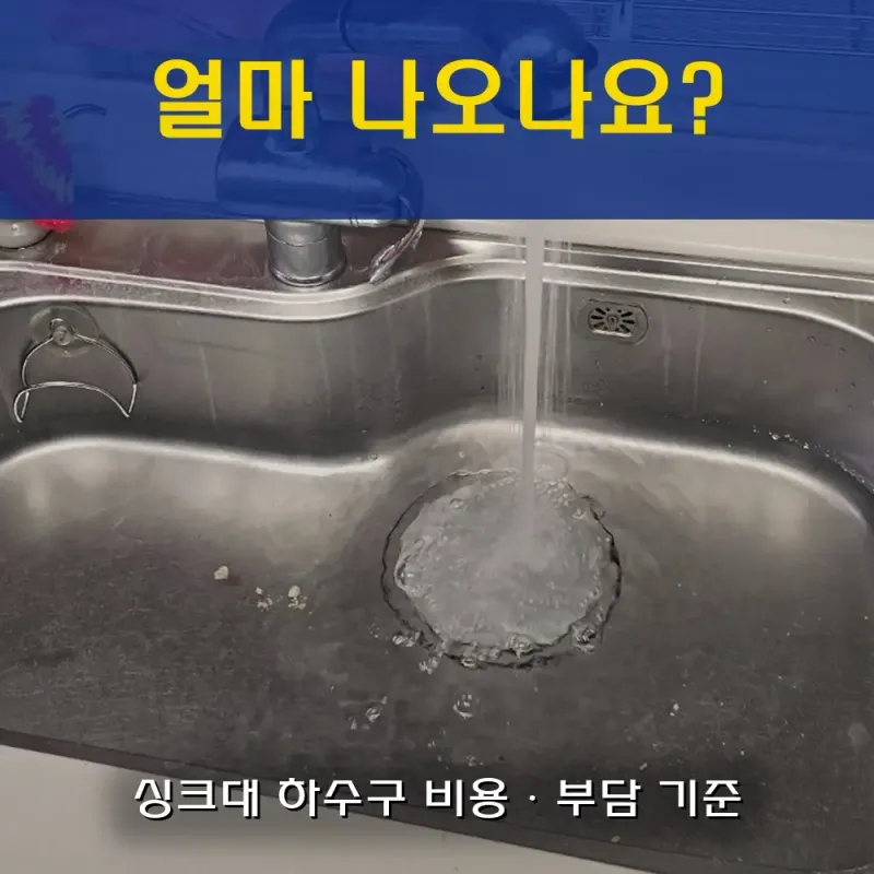 하수구 막힘 일반 현장 사진